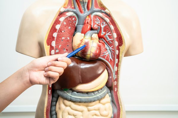 Les effets du monoxyde de carbone sur le corps humain